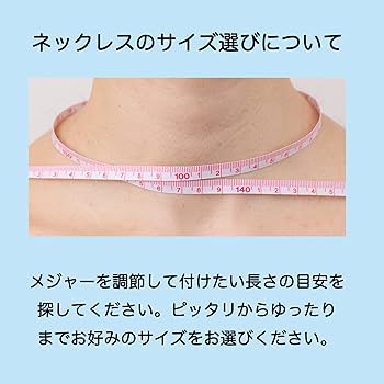 Be ion ホルミシス Amazon.co.jp: Be:ion Air Necklace（ビーイオン エアー